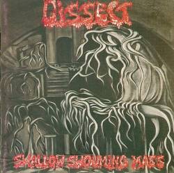 Swallow Swouming Mass